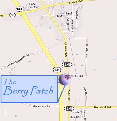 The Berry Patch Campbellsville Ky